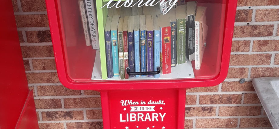 Little Free Library at Tas Drug in Maiden