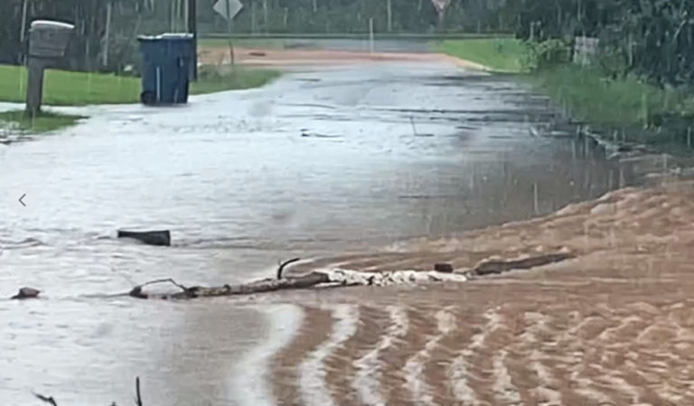 Flash Flooding in Maiden NC After Storm